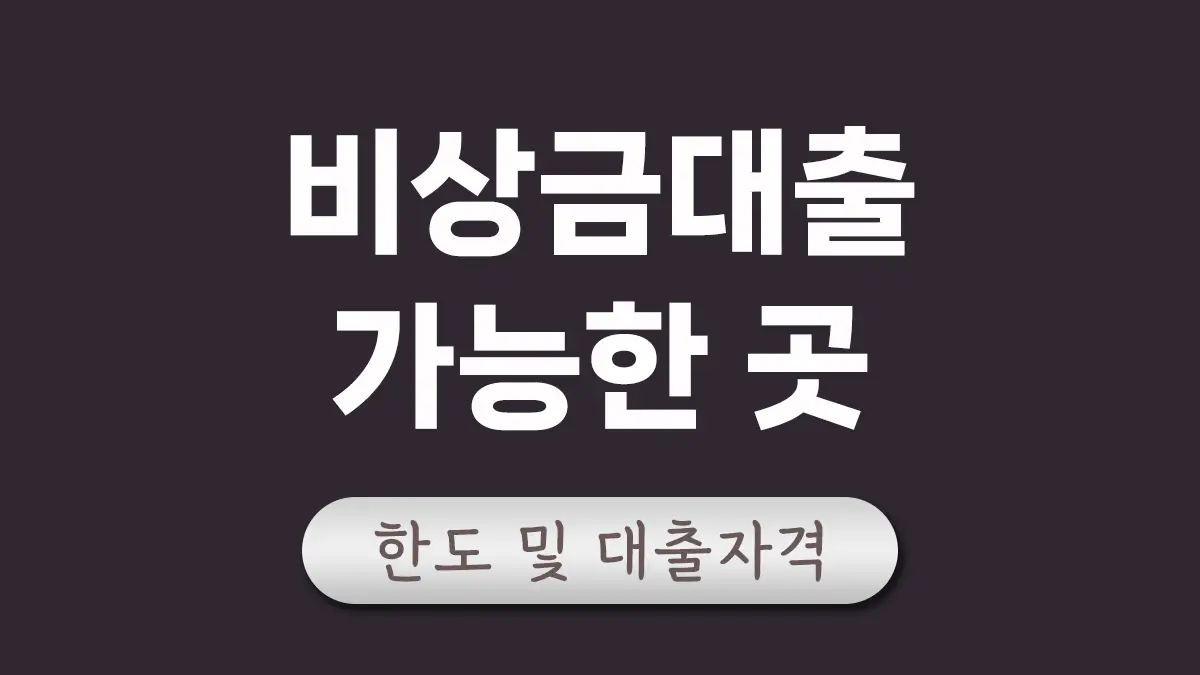 비상금대출 조건 대표이미지
