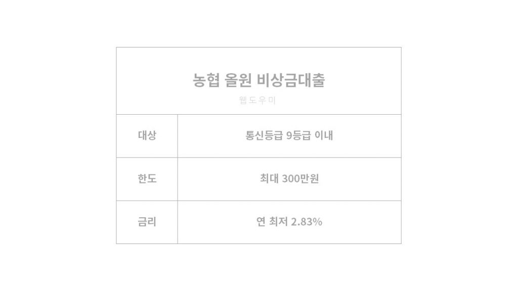 농협은행 비상금대출 가입대상, 금리 및 한도 정보 등 총정리