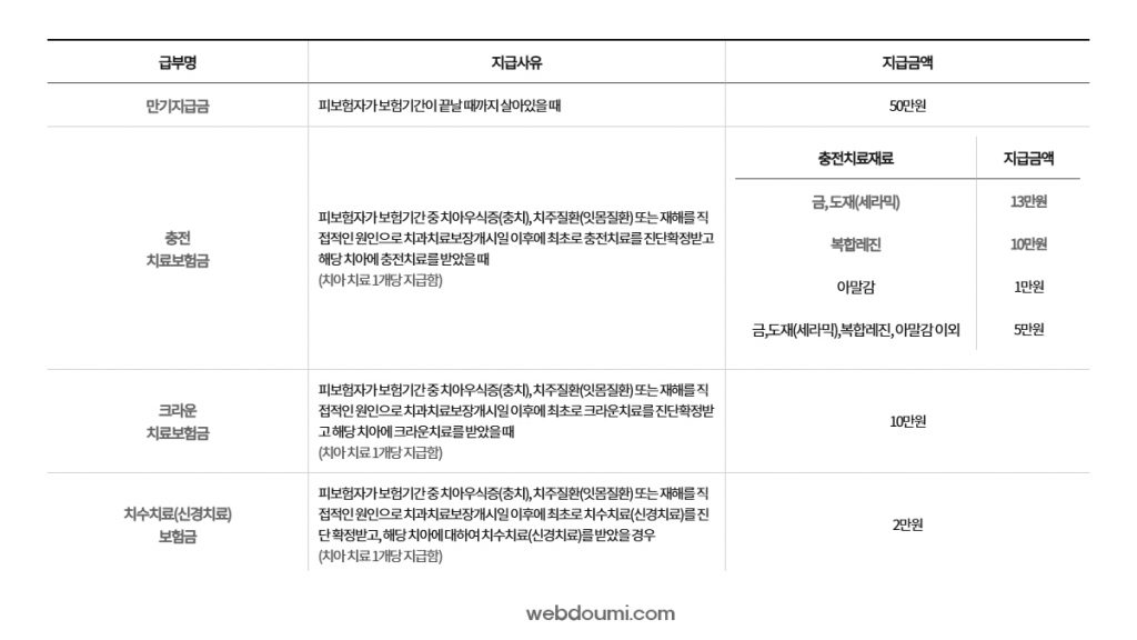 치아보험 보장내용