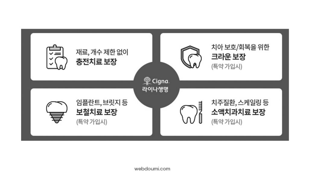 라이나 치아보험 비교