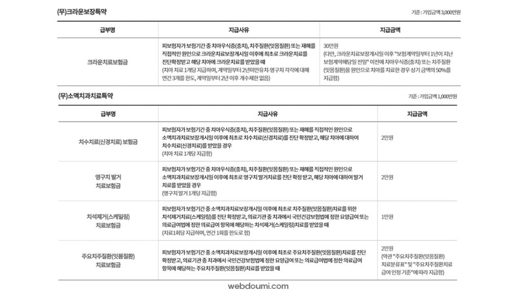라이나 비갱신형 치아보험