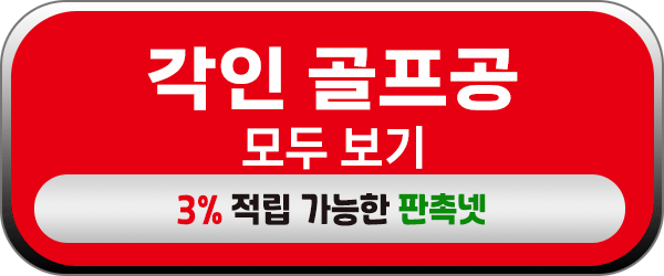 골프공 각인