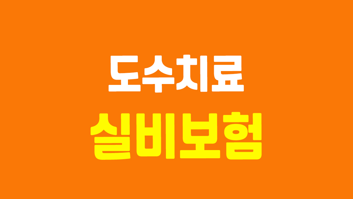 도수치료 실비보험