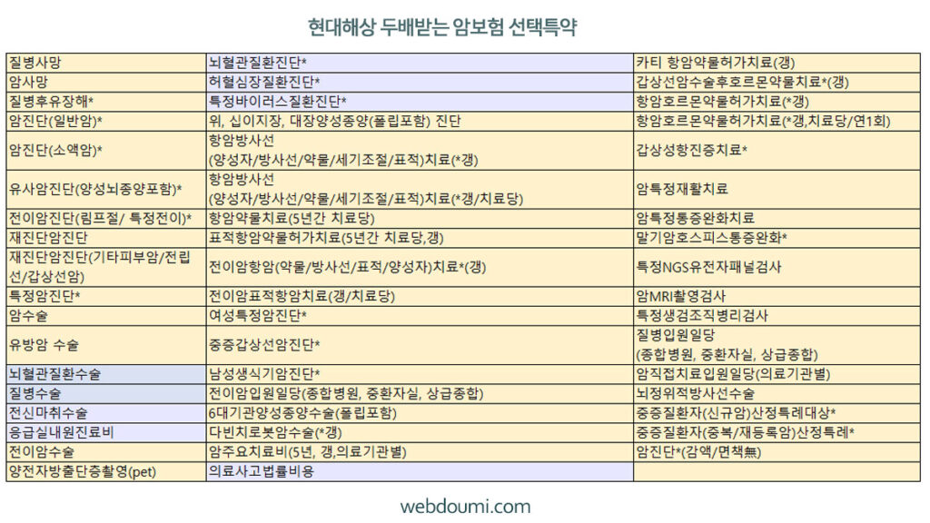 비갱신형 암보험 현대해상 두배받는 암보험