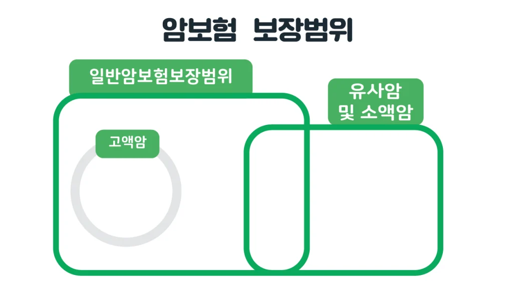 암보험 보장범위