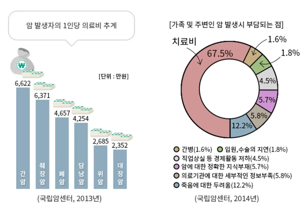 암 발병자의 1인당 의료비 추계와 가족 및 주변인의 부담 요소