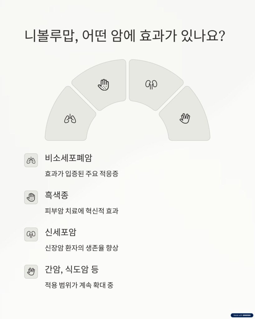 니볼루맙이 효과 있는 암은?